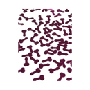 Confetes de Pênis para Balão - Despedida de Solteira